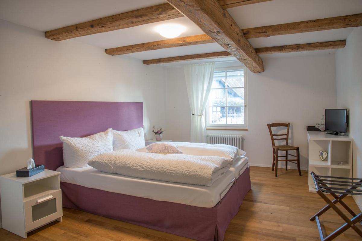 3 Sterne Boutique Gasthaus Poestli Rifferswil 外观 照片